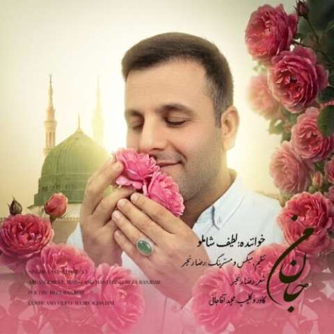 دانلود آهنگ لطیف شاملو جان من